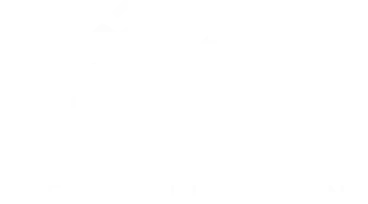 Colecție nouă